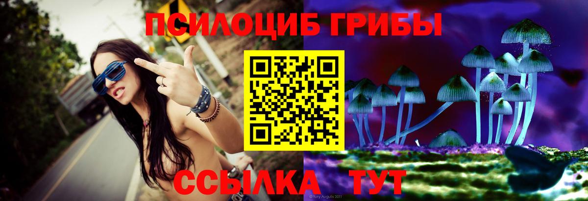 Псилоцибиновые грибы Cubensis Карачаевск